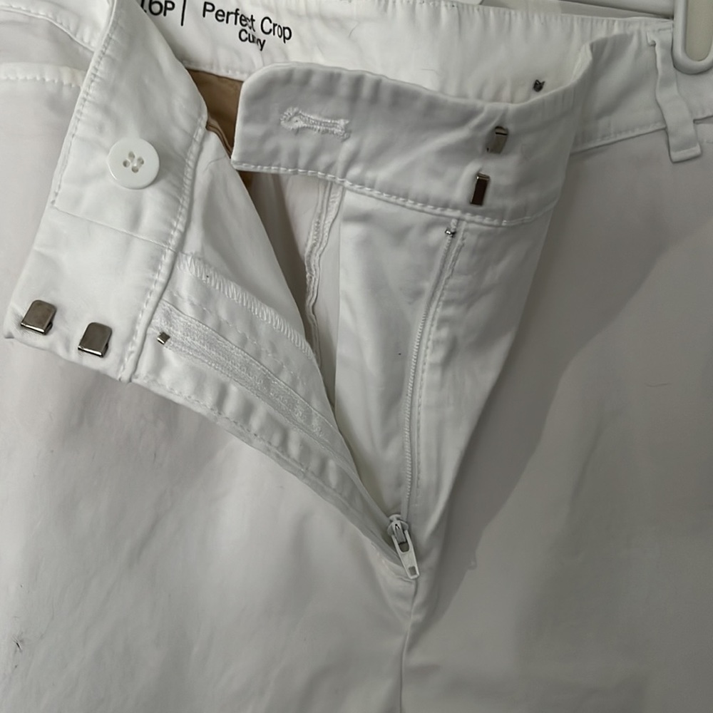 Talbots crops - Picture 3 of 5